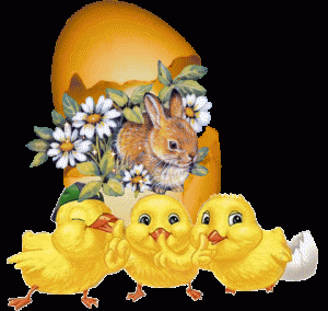 Happy-Easter-Lily-lilyz-30393615-480-455